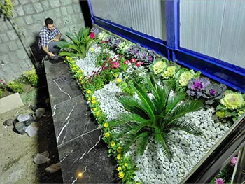 فلاورباکس و محوطهسازی